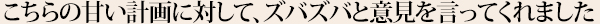 こちらの甘い計画に対して、ズバズバと意見を言ってくれました